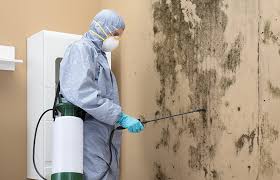 Best Biohazard Mold Removal  in North Fond Du Lac, WI